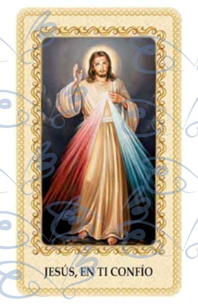 Jesus Divine Mercy card laminated