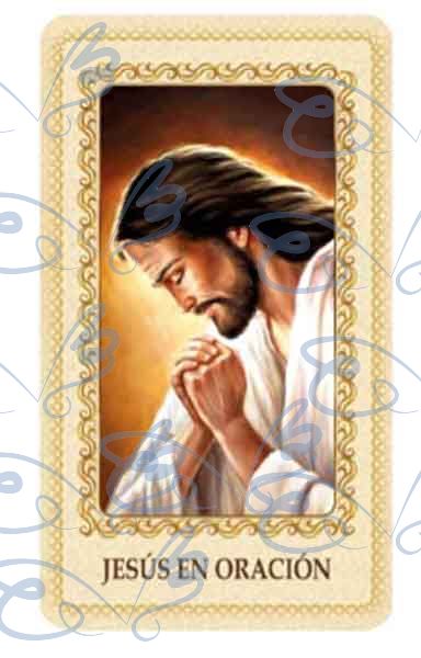 Jesus praying in garden card laminated