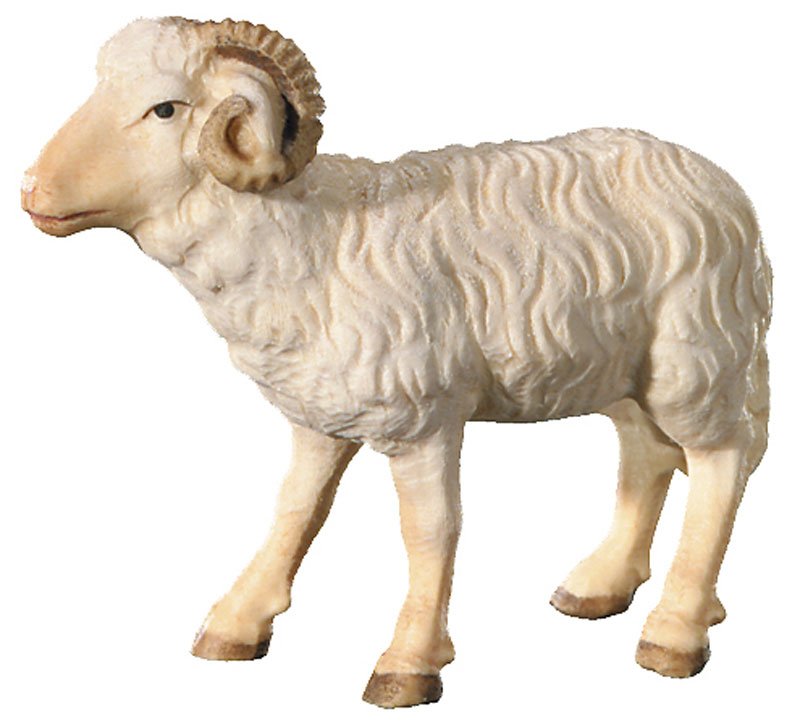 Ram (Leonard Nativity)