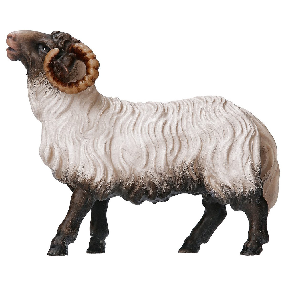 Ram black head (Casales Nativity)