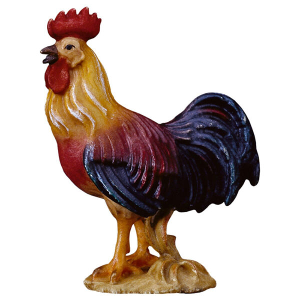 Gallo (Belen Casales)-0