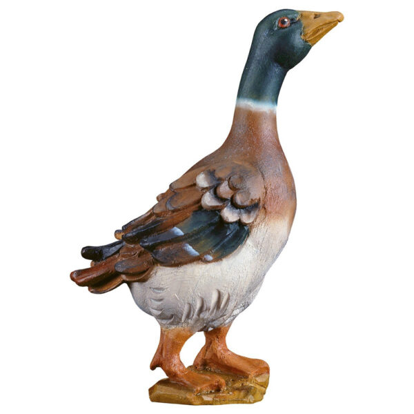 Pato (Belen Casales)-0