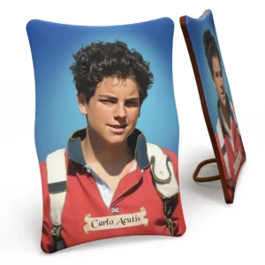 Cuadro de Carlo Acutis