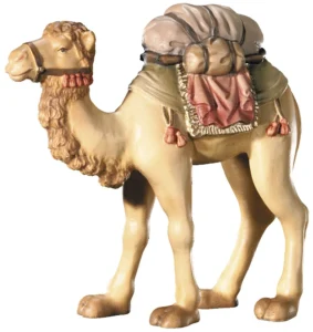 Camel (Leonard Nativity)