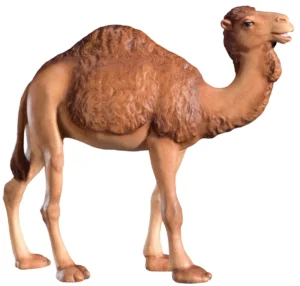 Camel (Rafael Nativity)