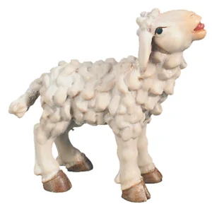 Lamb (Rafael Nativity)