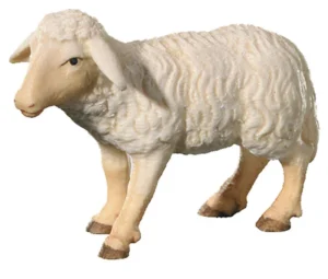 Sheep (Leonard Nativity)