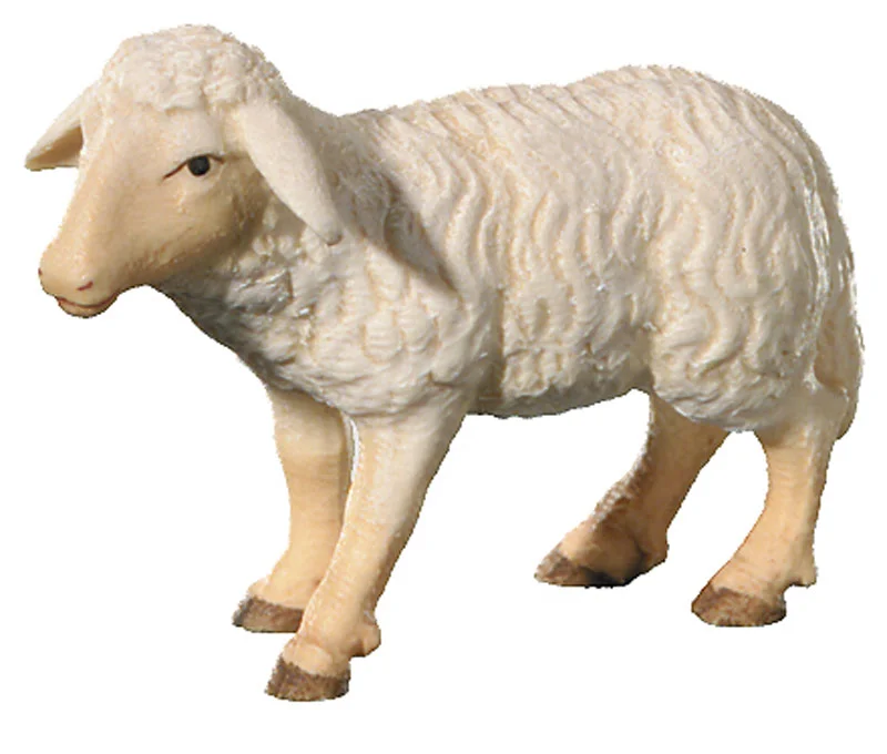 Sheep (Leonard Nativity)