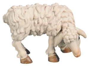 Oveja (Belen Rafael)