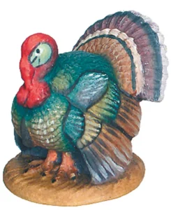 Pavo (Belen Rafael)