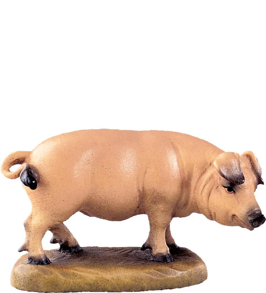 Pig (Alpes Nativity)