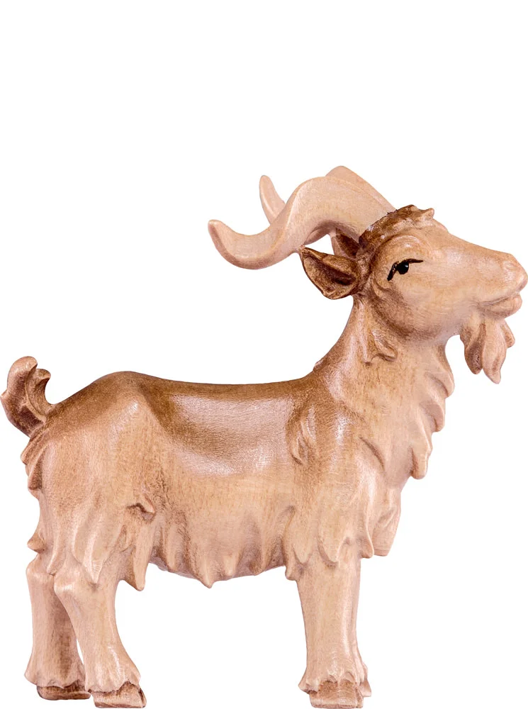 Young goat (Artisan Nativity)