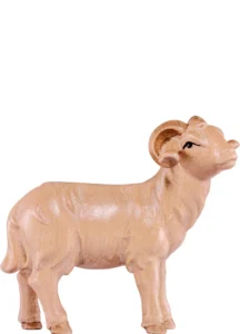 Cordero (Belen Artisan)