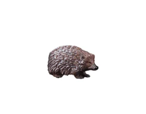 Erizo mirando abajo (Nacimiento Kastlunger)