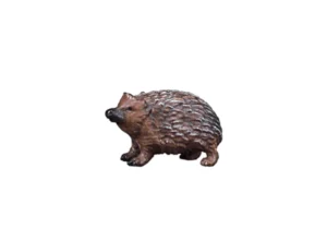 Erizo mirando arriba (Nacimiento Kastlunger)