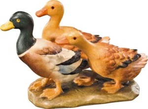 Grupo de patos