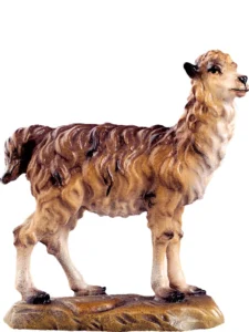 Llama (Alpes Nativity)