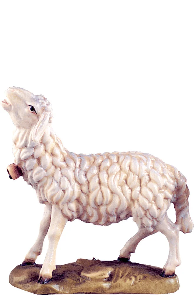 Oveja balando (Belen Alpes)