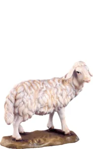 Oveja de pie (Belen Alpes)