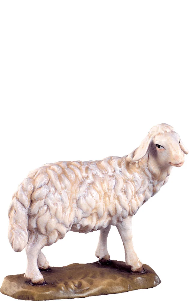 Oveja de pie (Belen Alpes)