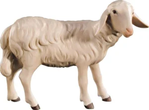 Oveja mirando al lado