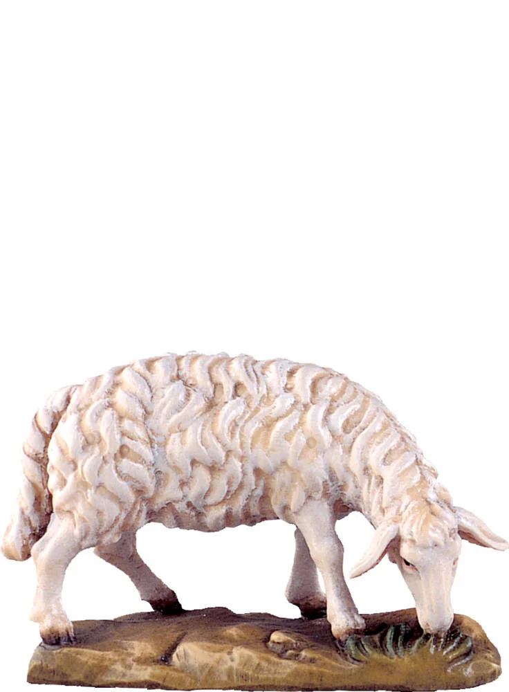 Sheep grazing (Alpes Nativity)