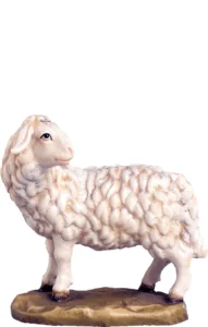 Oveja vigilando (Belen Alpes)