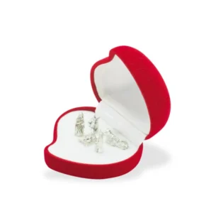 Chest with Nativity. Heart