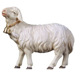 Oveja mirando arriba (Belen Casales)